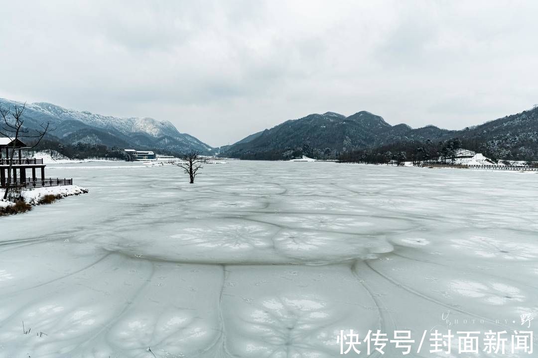 冰花|绝美！四川广元月坝惊现美丽“冰花”