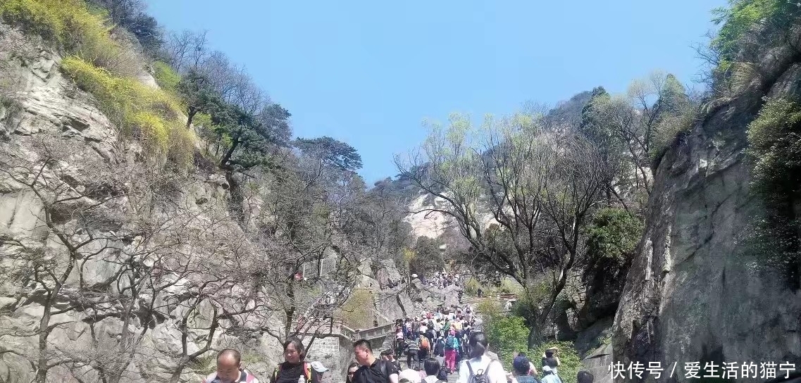 真实|泰山游游泰山，泰山台阶让人愁，我用素颜镜头记录真实泰山