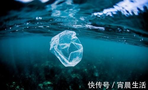 塑料|强制执行限塑令，大批商户有苦难言，有人发现了其中“商机”