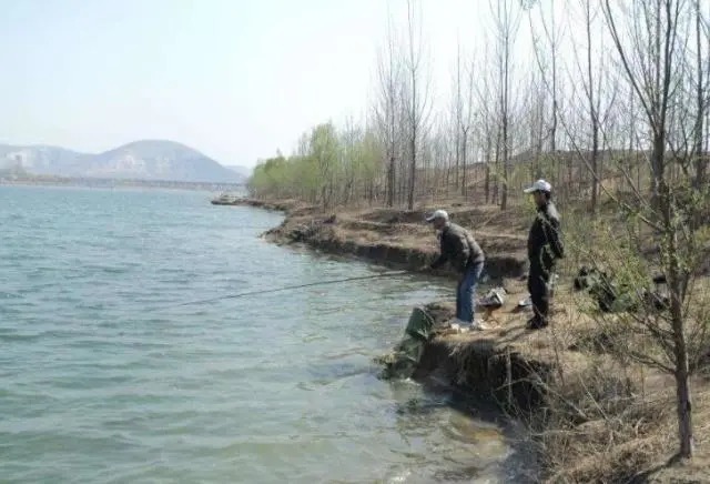 冬钓鲫鱼，牢记“三字铁律”，一字没做到，一天摸瞎！