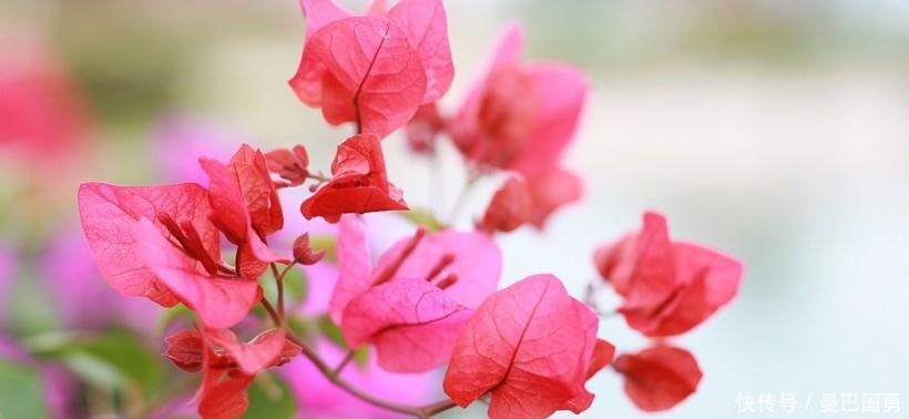 开心|10月-月底,四生肖鸿运缠身,富贵多金,开心发大财