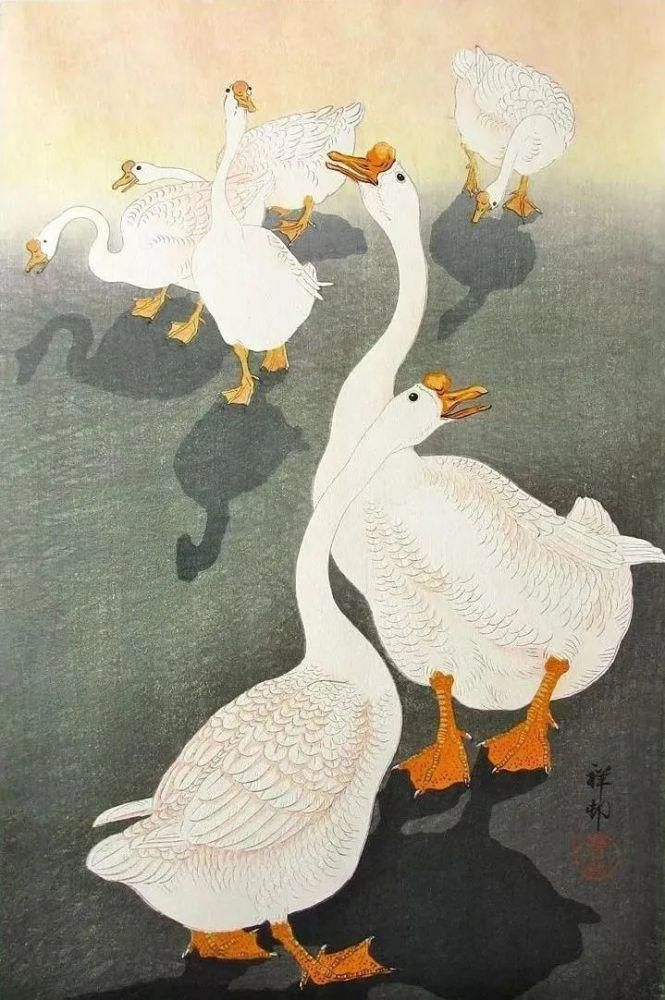 日本绘画大师的花鸟画，淡雅清新