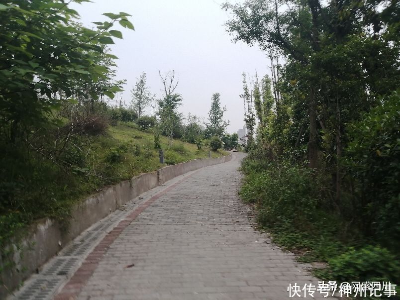 蓬安|逛游百牛赞歌广场，这里风景独好