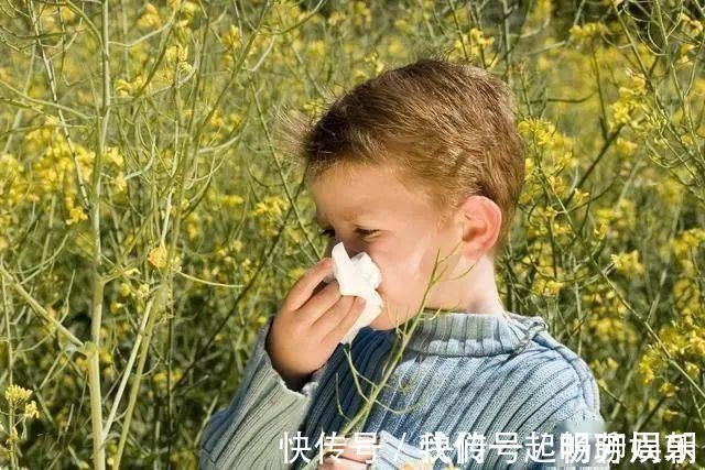鱼虾蟹类|孩子打喷嚏发烧应该怎么照顾?这些护理方式你学会了吗?