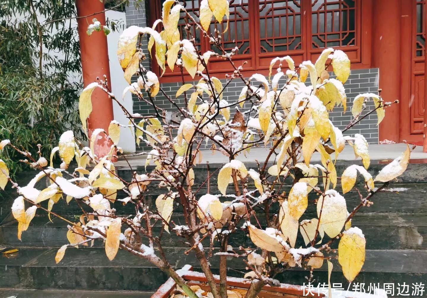 雪落|诗歌：雪落禅院