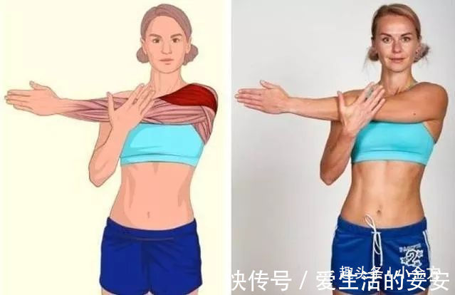 肌肉|终于找到了,这套全身拉筋3D图解,打通全身经络,太难得了