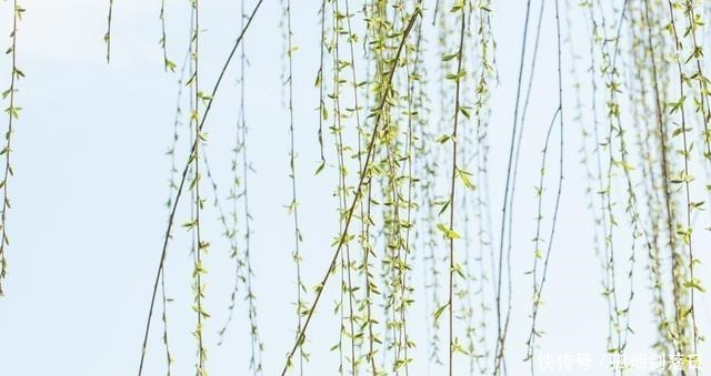 拿走|佛家一句话,胜读十年书!10个佛家开悟心语,拿走不谢