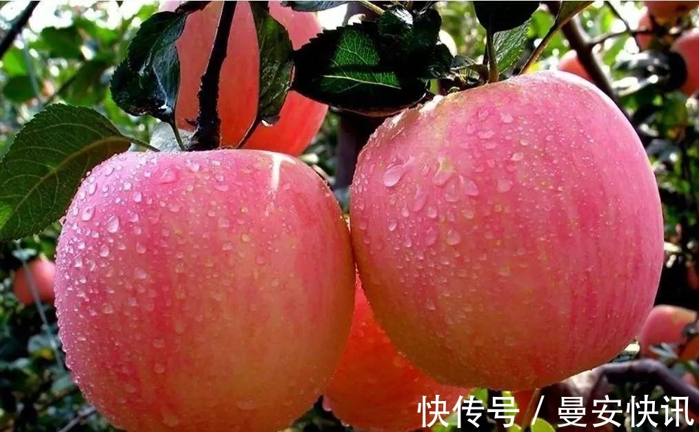 多酚类|每天坚持吃一个煮熟的苹果,坚持7天,身体会悄悄发生3大变化