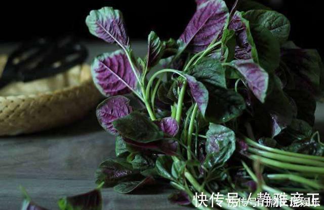 常吃|城里人特别喜欢吃的几种野菜，花钱都很难找到，农村人却常吃