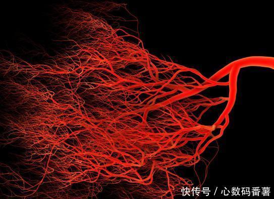 血管|血管堵塞,脚先知!医生:脚上3种“感觉”,当心血栓已“扎根”