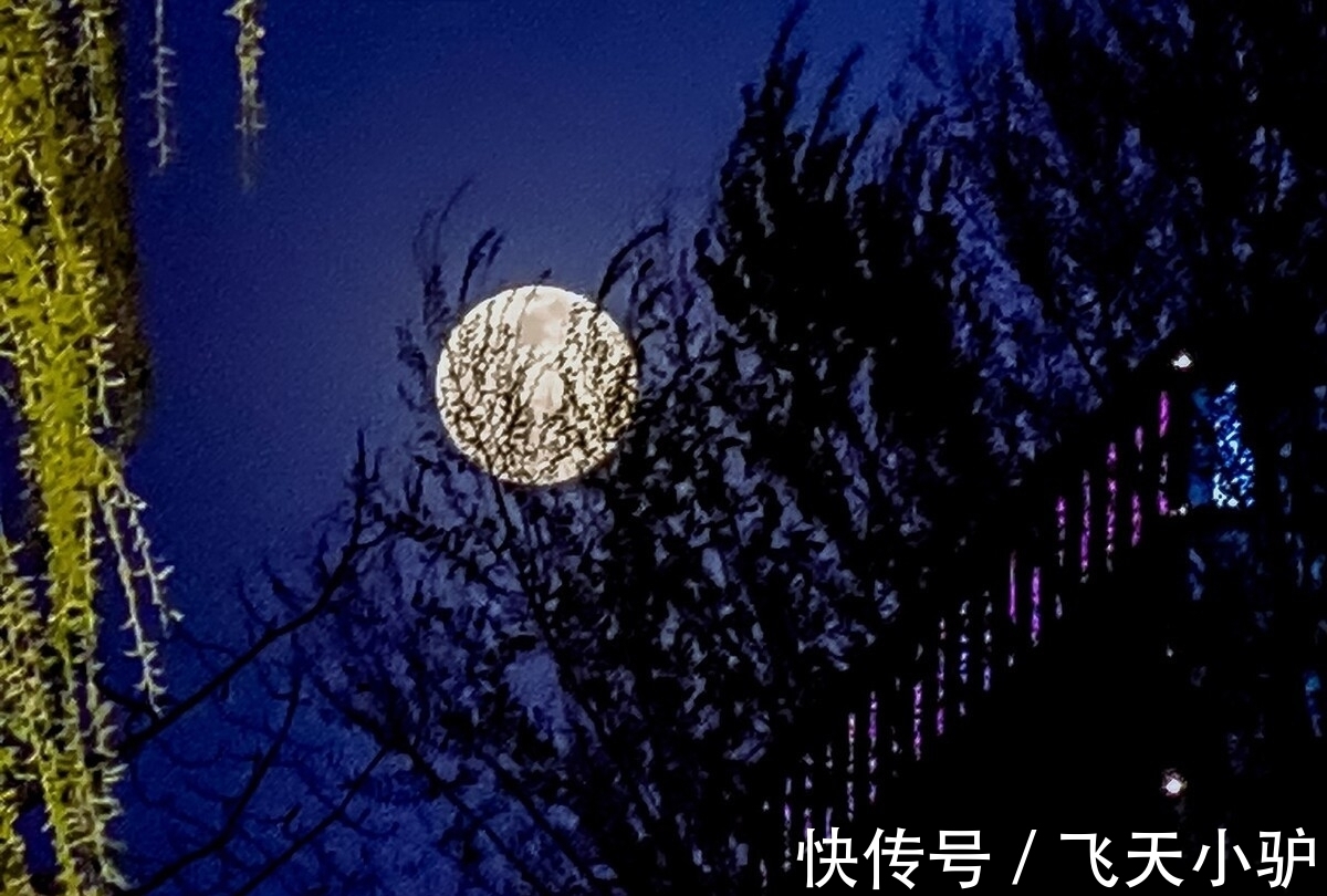 夜雨寄北|宰相词人的两首妙作，细腻传神，人物的形象更是栩栩如生