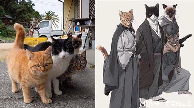 二次元|当二次元侵入现实世界,喵剑客太帅,钉娘统领“网课大军”