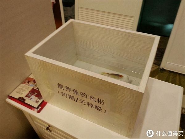 幸福|不听装修的“鬼话”，坚持做最接地气的决定，现在住着很幸福