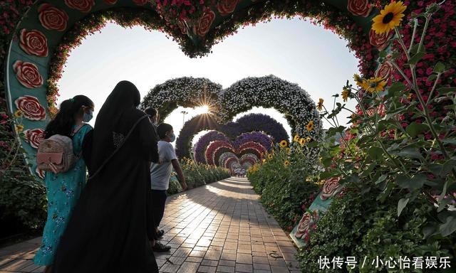 世界上最大|阿联酋迪拜：百万种植物打造“奇迹花园”