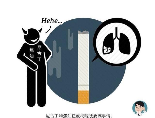 中老年|长寿的男人，早上通常有4个共同点！若你也有，恭喜或离长寿更近