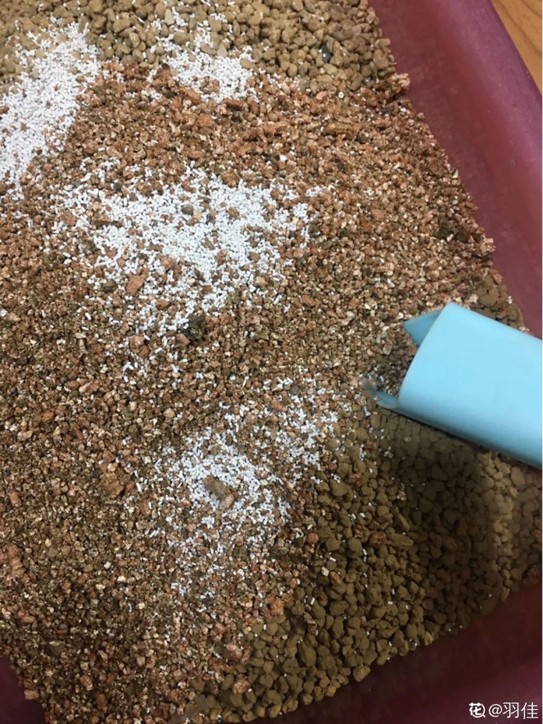 牛粪肥|最好用的养花肥,盆里撒一把,1年不用换盆了