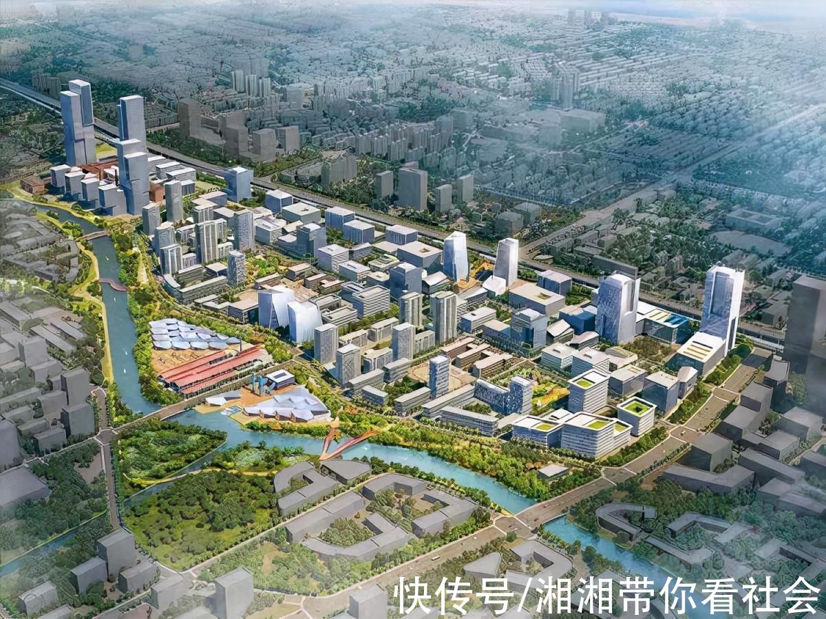 宝山区政府|宝山全力推进“双核五圈”，数字化转型建设显成效