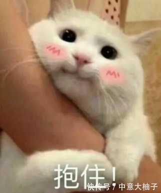 平价|护肤不马虎!大润发超市遇到这5款护肤品就拿下吧,虽平价但好用