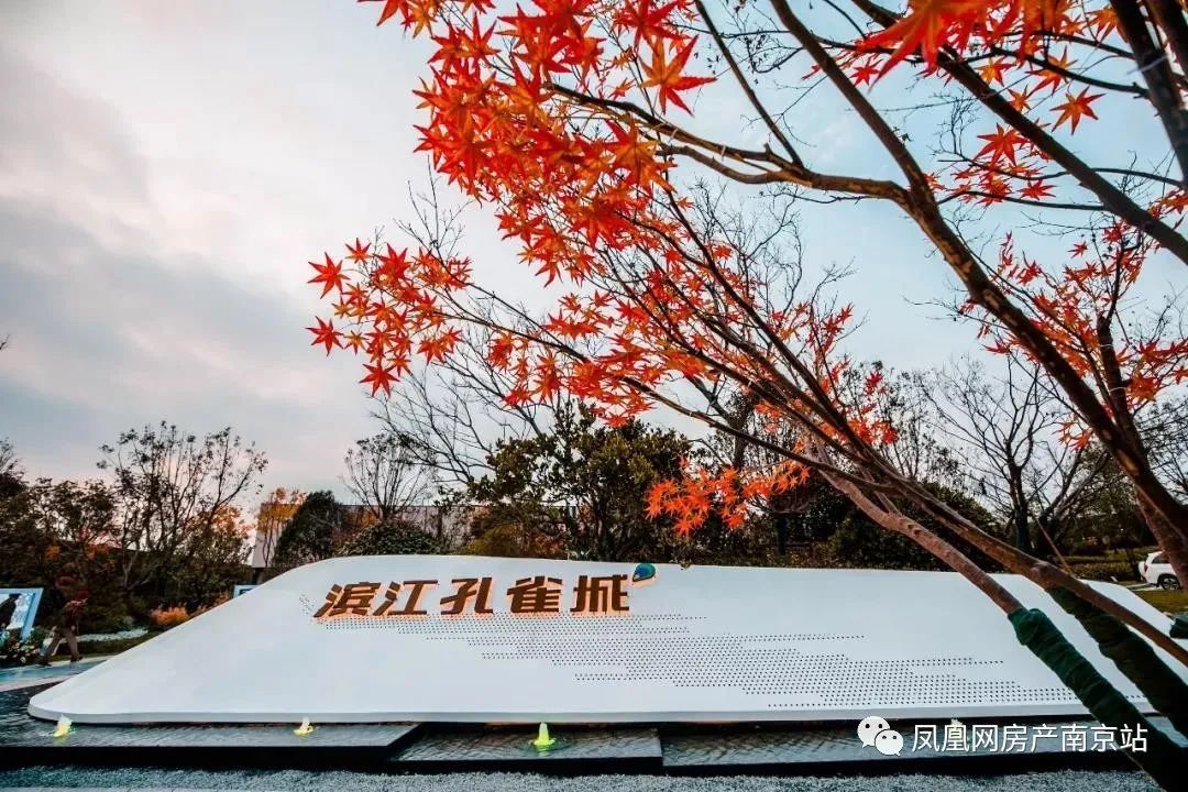 房价|龙潭新城建设新进展!房价“1”字头!你