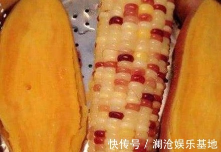 食物|怀孕期间,以下4物不要吃,或许会伤害胎儿健康,要重视