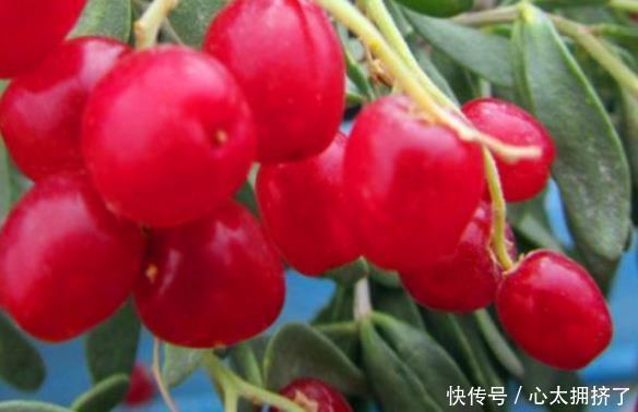 润肠|女性如何养生,就要常吃4种食物,润肠通便,排毒抗衰,强身健体