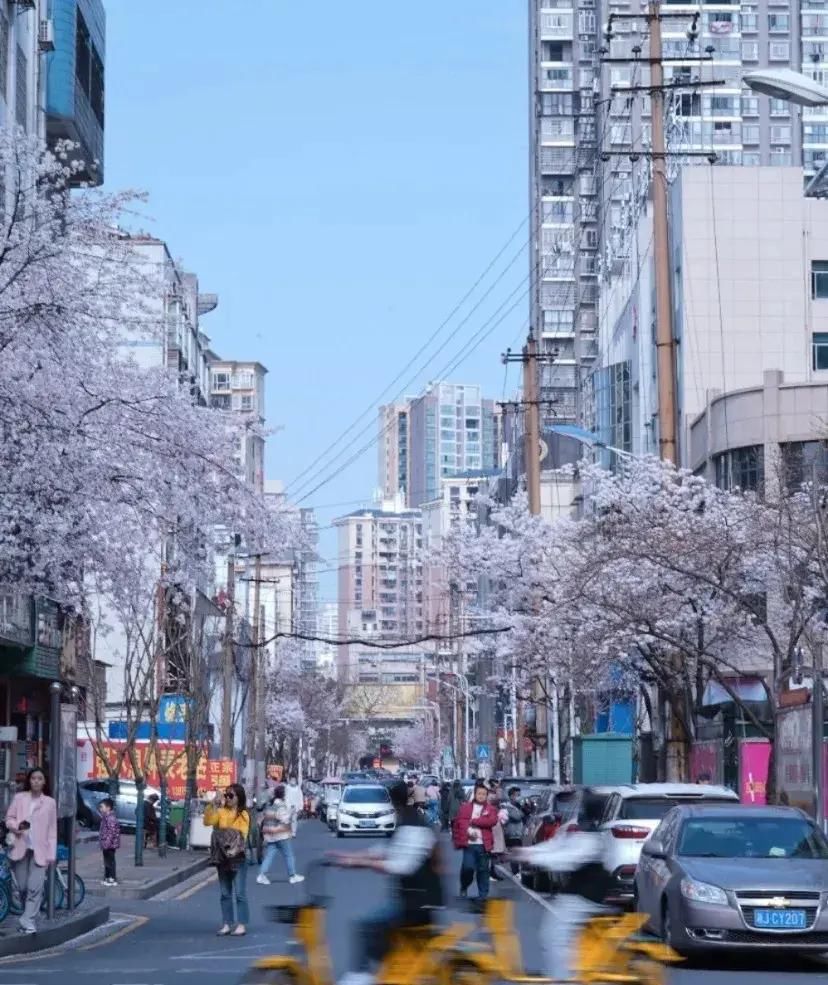 《向往的生活5》 一开播就霸占5个热搜，又一个宝藏城市即将被带火