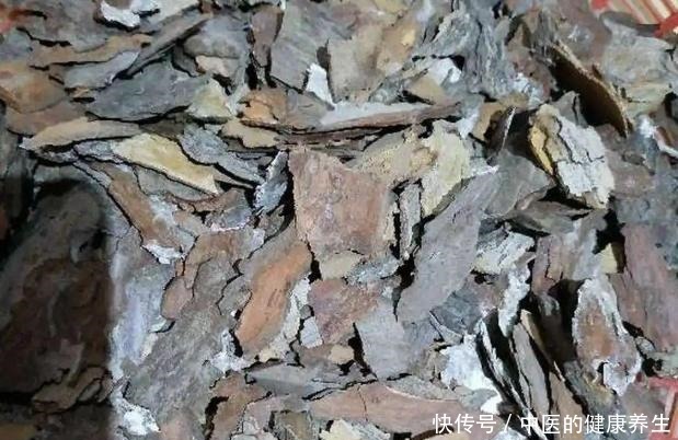 到了冬天捡些它们,开水烫烫、捂捂来养花,比肥强!