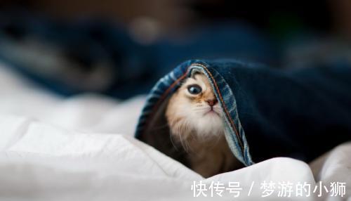 |幽默笑话：娶媳妇，娶个泼妇倒不怕，哪怕是河东狮，作完了