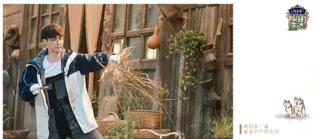 张艺兴 向往的生活:现高档牛肉引质疑,返璞归真是假象,网友:骗谁呢?