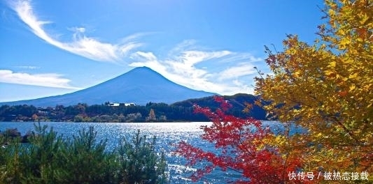 真爱|再熬5天，好运连连，横财大发特发，事业步步高升，遇真爱的生肖