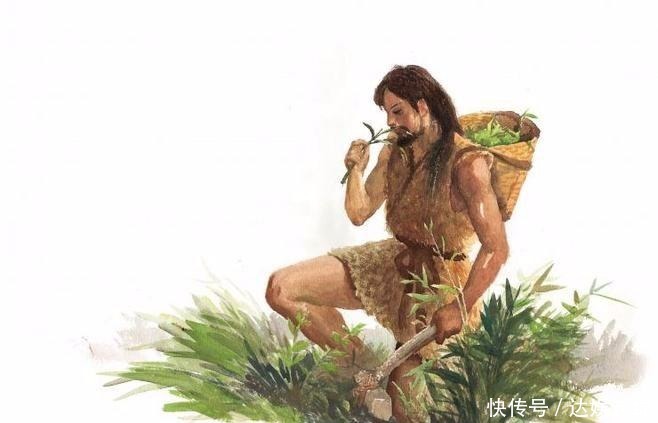 《山海经》中的动物很神奇 植物们有话说