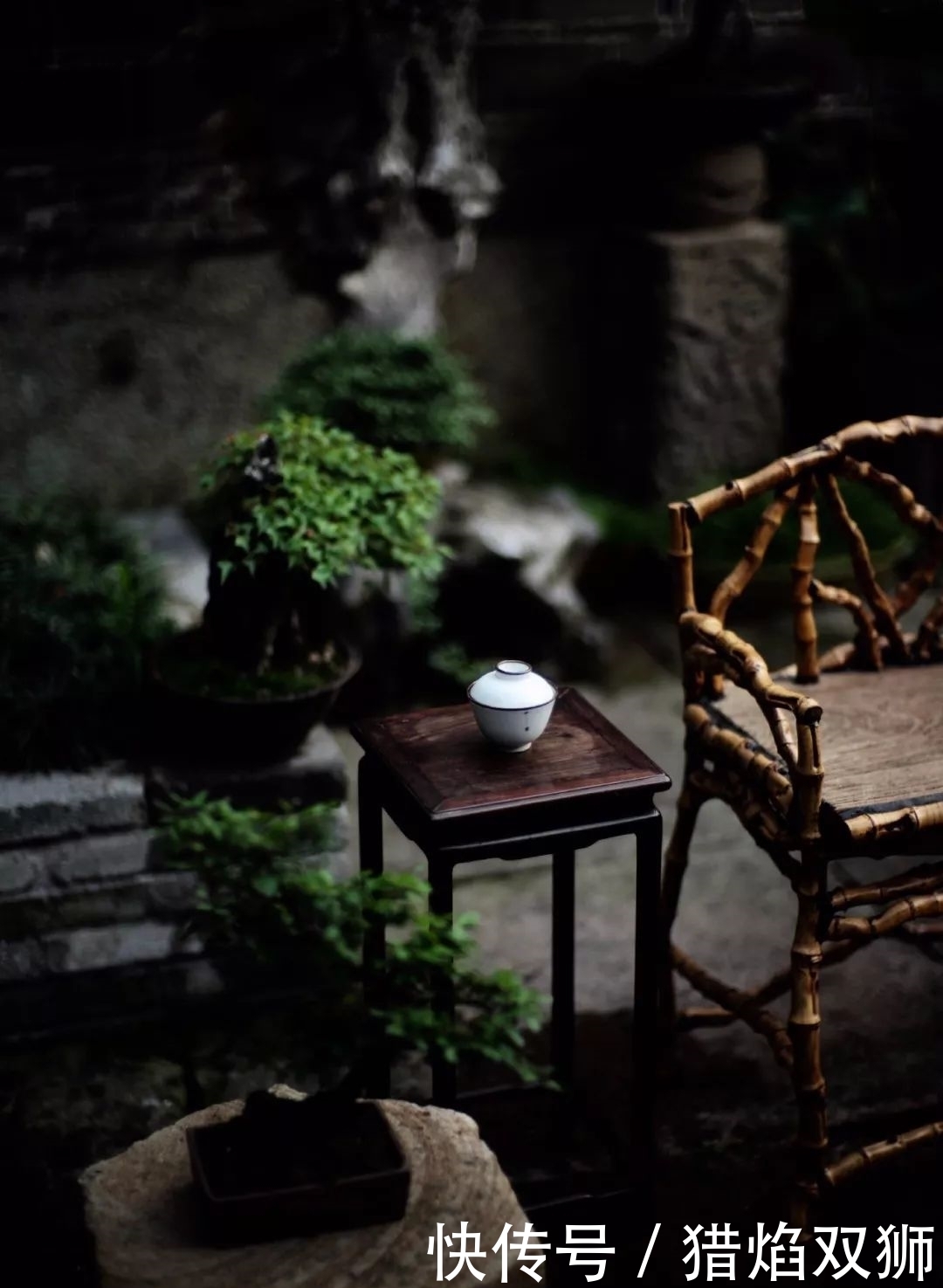 煮雪烹茶,待春来