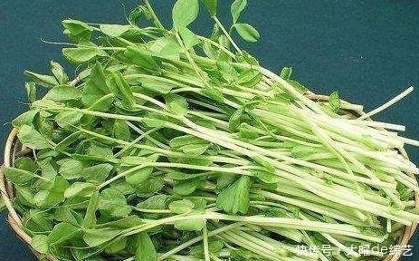 女性想要肌肤好,常吃3种食物,润肤美容,延缓衰老,有益健康