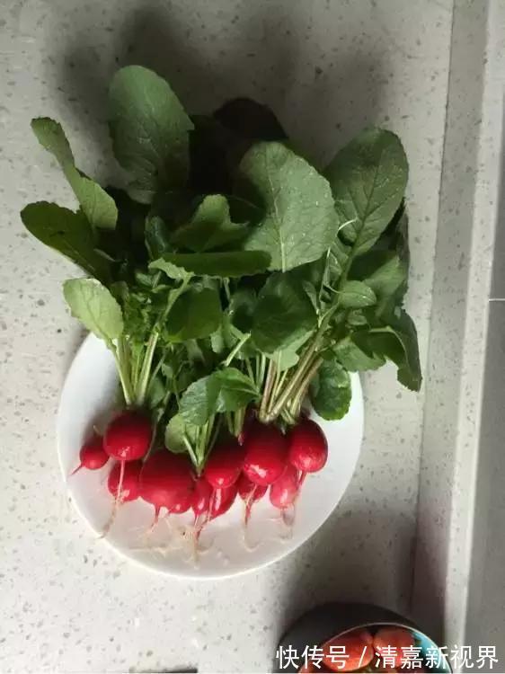 养花|3种“水果”蔬菜，阳台就能种，青脆爽口，老人小孩都爱吃！