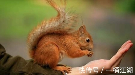 冷知识|32个冷知识：或许看起来有些荒唐，但却有所依据的有趣知识