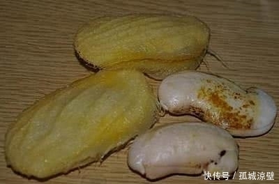 吃完的芒果千万不要再扔掉了,要不然你就会错过非常漂亮的盆栽!