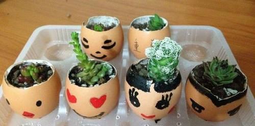 不错|家里几种没用的东西,用来养花,省钱又实用,乐趣十足!