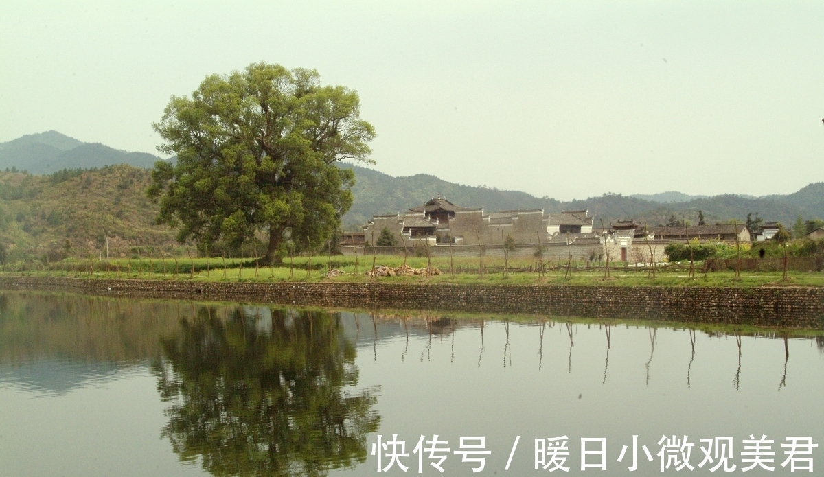 饵料|夏季钓大鱼,有别于其他钓友的调整,鱼获不会少