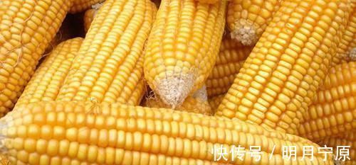 男人味|前列腺炎患者的“福音”来了，坚持吃一周，消炎排毒，更有男人味