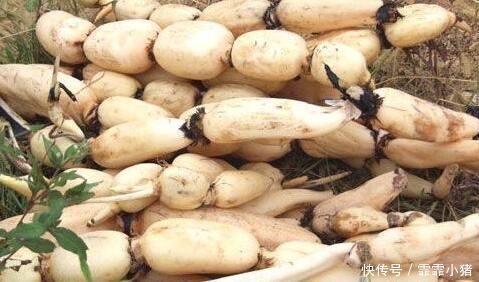 葡萄干|晚上失眠睡不好用它泡水喝,让你沾床就睡,做梦少睡得香