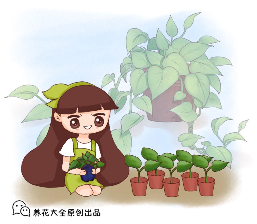 厨房这4种材料，原来是生根宝藏，教你自制生根剂