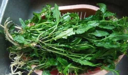 人到中年常吃3种食物，排毒养颜，保养卵巢，清理子宫污血