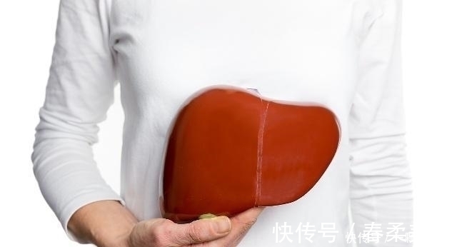 中医|枸杞和这2物是“天生一对”,常来泡水喝,补肾健脾,给肝洗洗澡