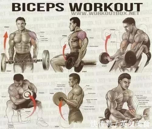 训练|健身房常用训练图解,每张图都是训练计划!