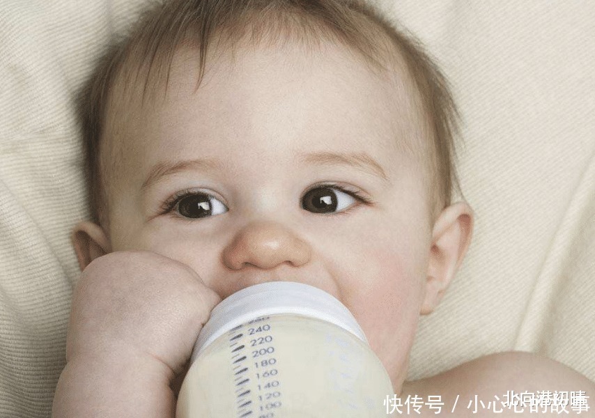 食品|因婴儿肠胃还处于发育阶段,在调理和喂食断奶食品时,要特别注意