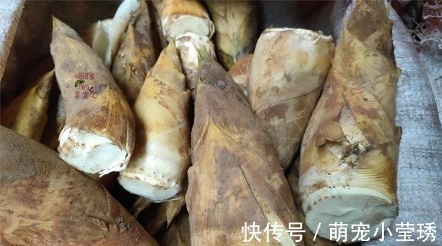 买春笋有诀窍，先别管大小，切记“2不买”，实惠好吃还特别鲜嫩