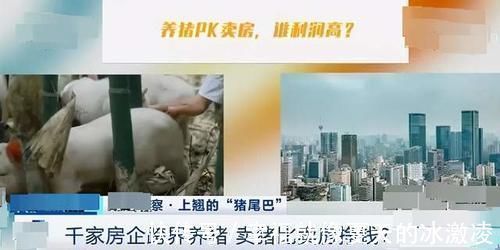 用地|1000多家房企相继跨界养猪,只因房价下降猪价上涨?别太天真了