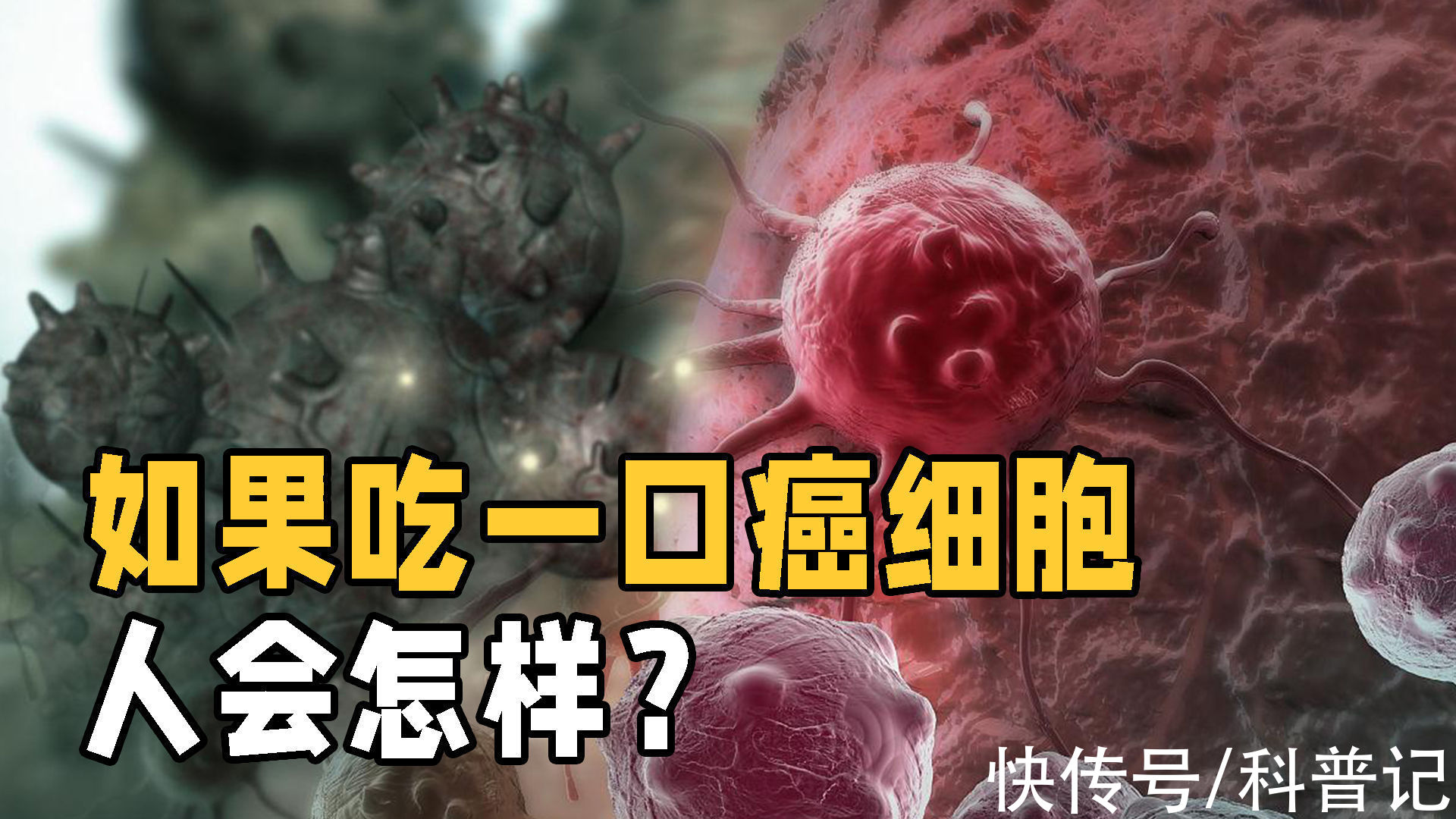 免疫细胞|癌细胞为什么这么顽固？假如吃下一块癌细胞，人体会发生什么？