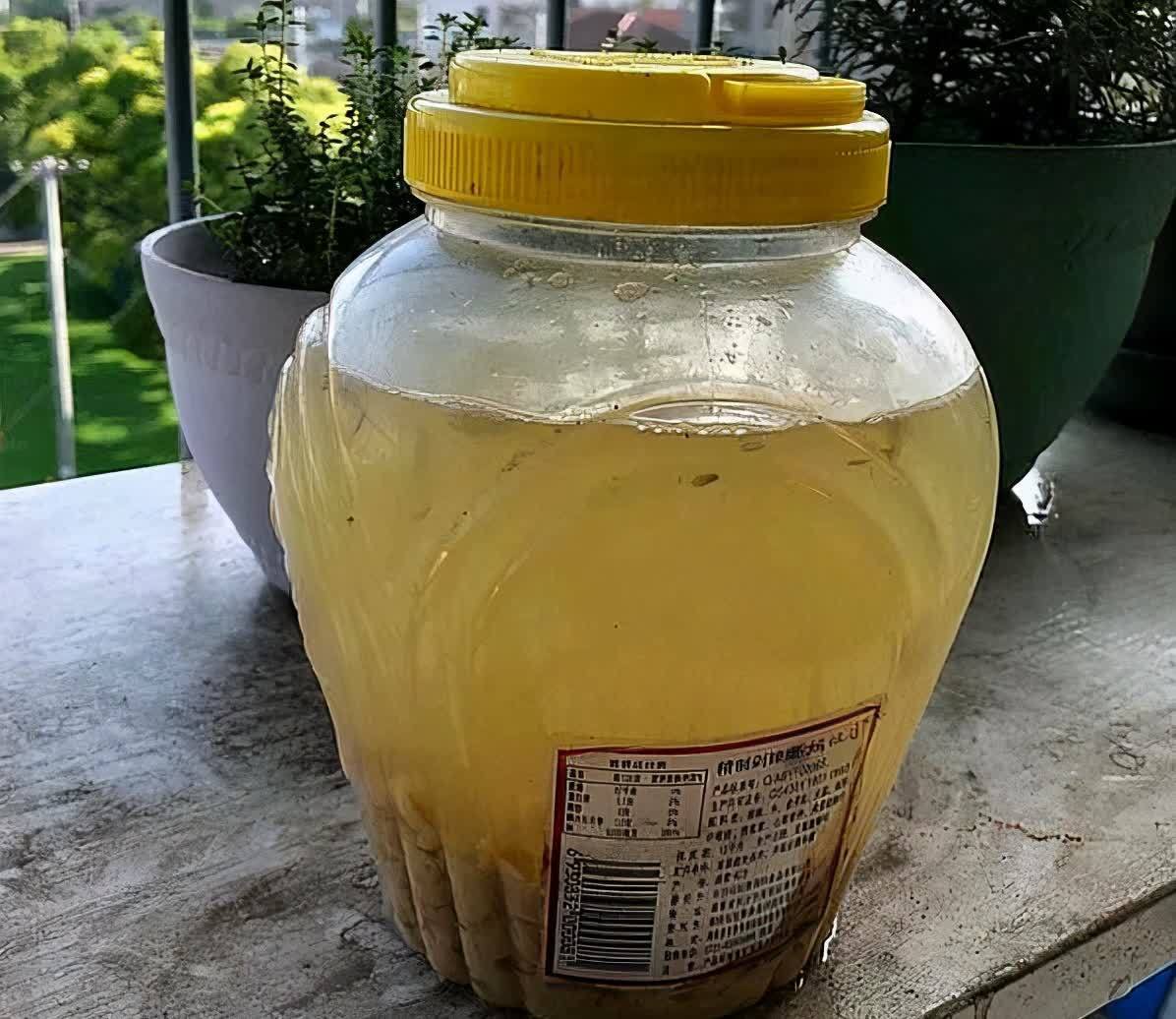 “一等养花肥”从不需花钱买,亲自动手制作,效果好还不烧苗