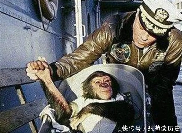 59年前，被美国送上太空的黑猩猩“宇航员”，最后结局如何？